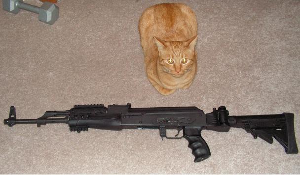 In fact, I am the commander of the largest feline black ops unit in the 